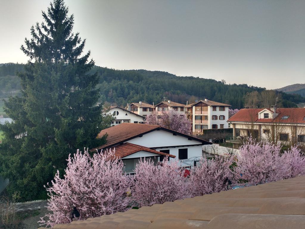 Gasthaus Casa Tau Larrasoana Exterior foto